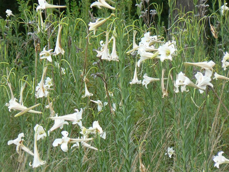 054-Leaving the dam.JPG